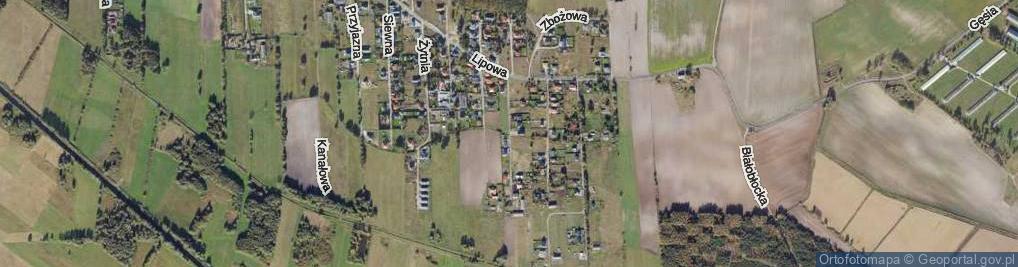 Zdjęcie satelitarne Kasztanowa ul.